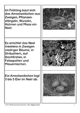 Aufzucht-der-Jungen-SW-1.pdf